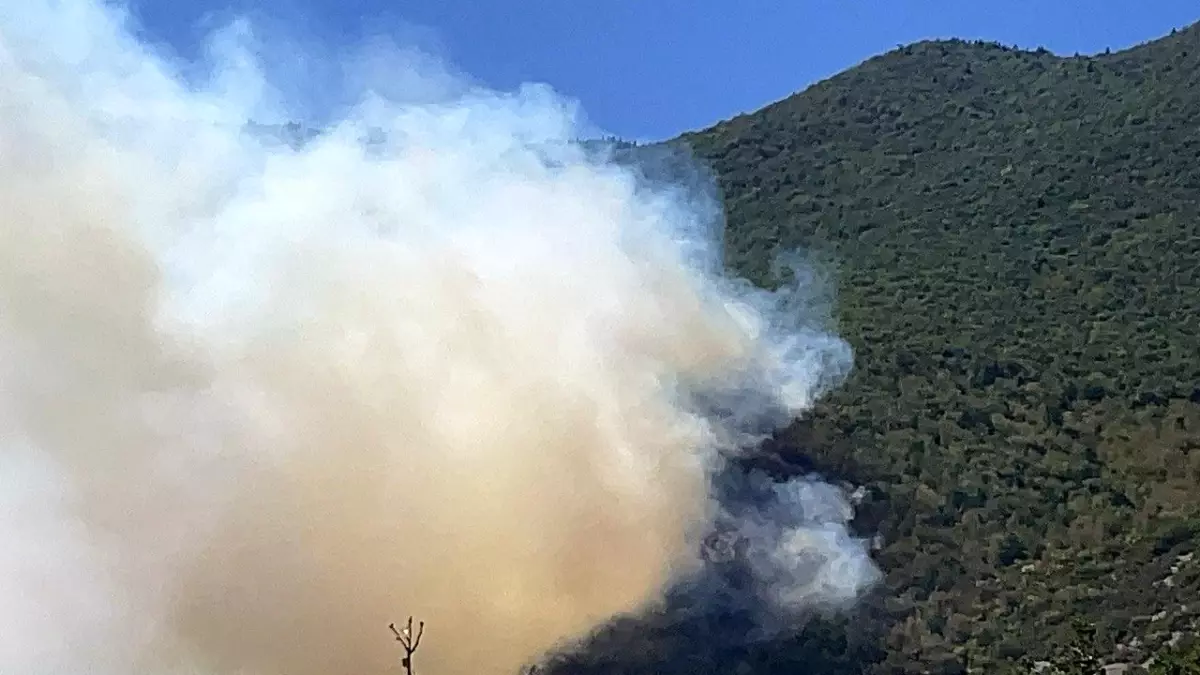 Bartın'da Orman Yangını Büyüyor