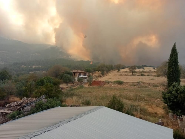 denizli de baslayip aydin a sicrayan yangin 19000232 8470 m