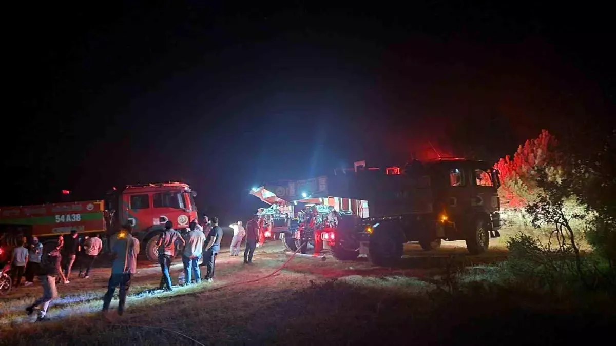 Sakarya'nın Geyve İlçesinde Orman Yangını