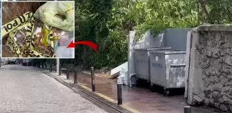 İstanbul'da çöpte yanmış bebek cesedi bulundu