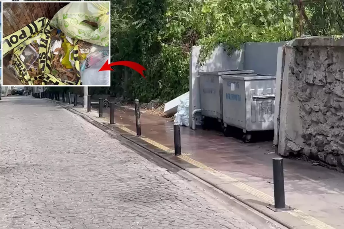 İstanbul'da çöpte yanmış bebek cesedi bulundu