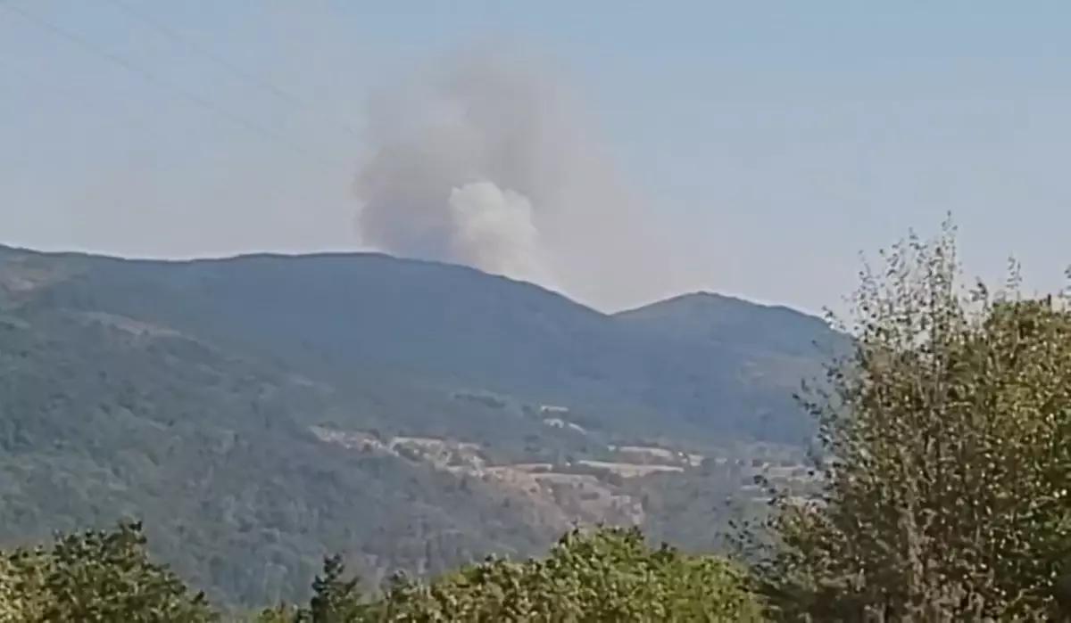 Karabük'te Orman Yangını Çıktı