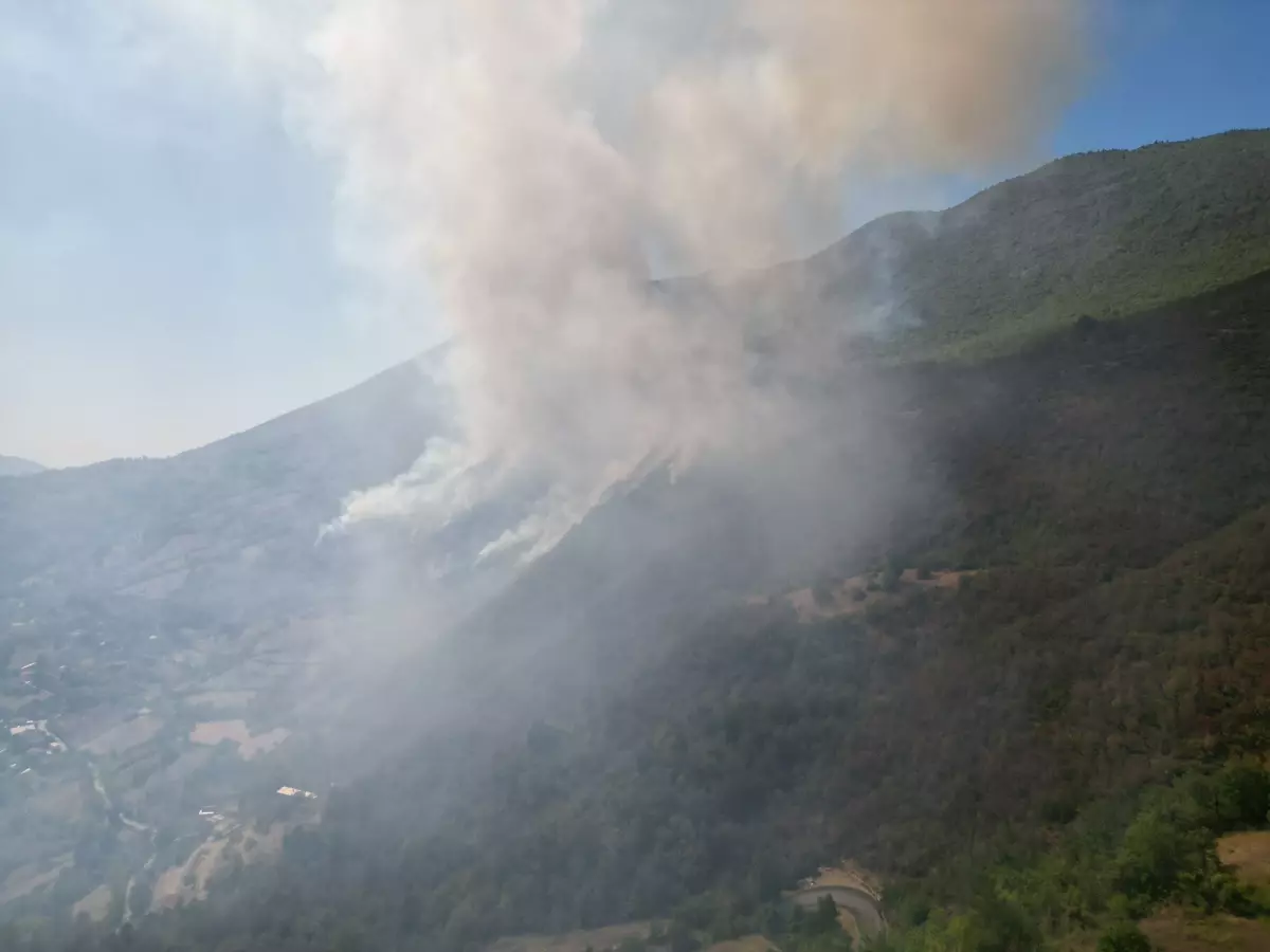 Küre Dağları'nda Orman Yangınına Hava ve Karada Müdahale Devam Ediyor