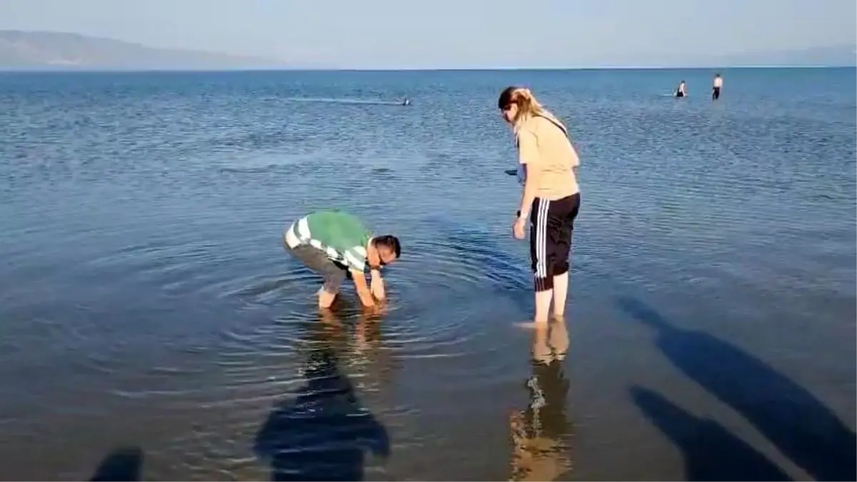 İznik Gölü'nde Tarihi Sütun Başlıkları Bulundu