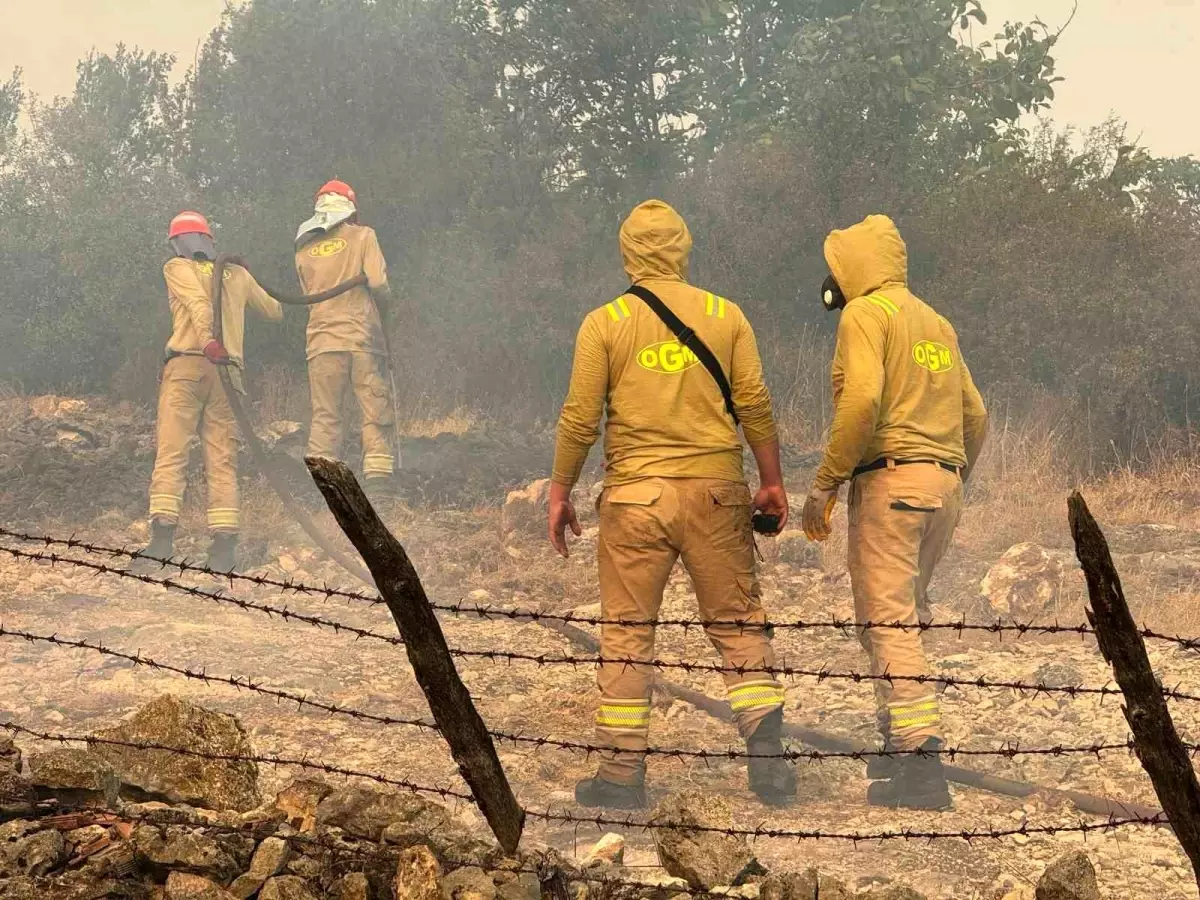 Kastamonu'da Orman Yangını: 3 Ev Yandı, Müdahale Devam Ediyor