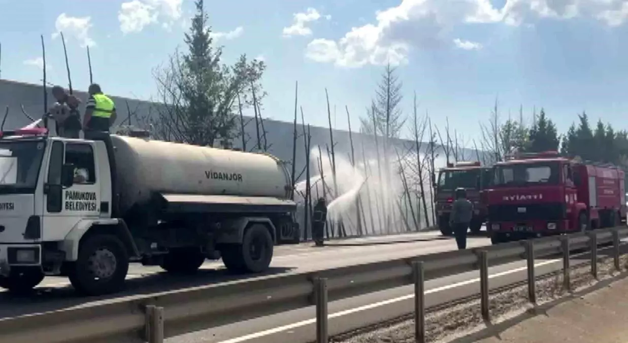 Sakarya'da Ağaç Yangını Trafiği Değiştirdi