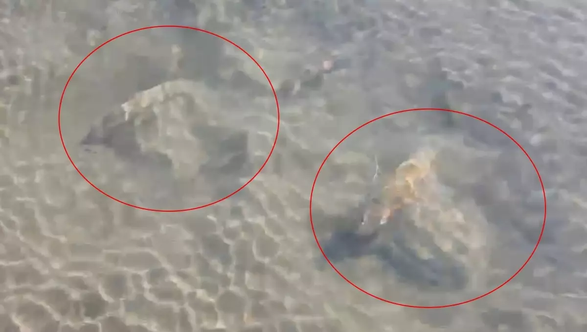 İznik Gölü'nde Tarihi Sütun Başlıkları Bulundu