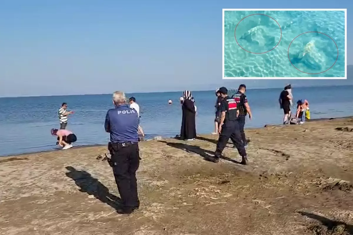 İznik Gölü'nde tarihi sütun başlıkları bulundu