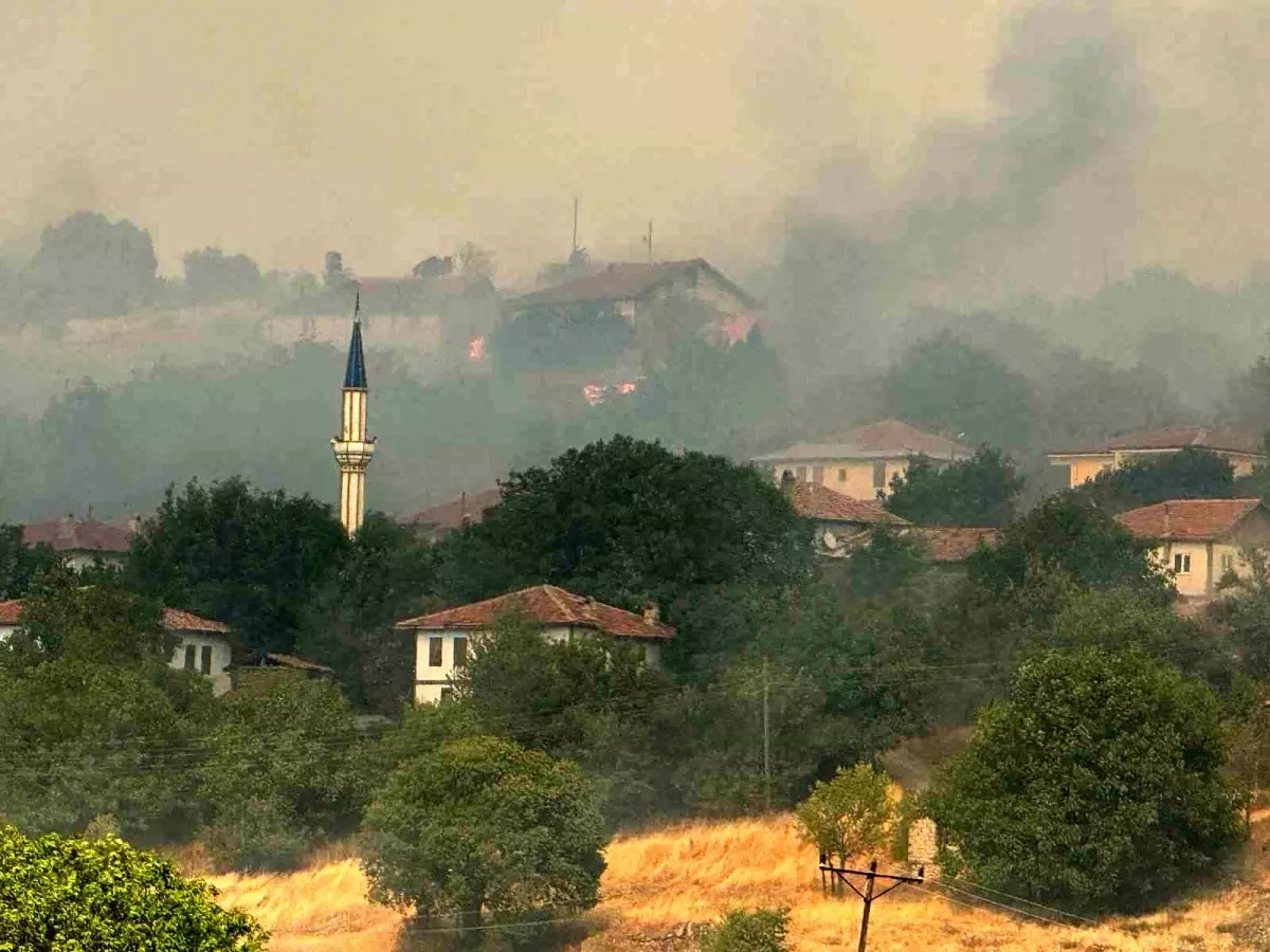 Karabük'teki Orman Yangını Kastamonu'ya Ulaştı