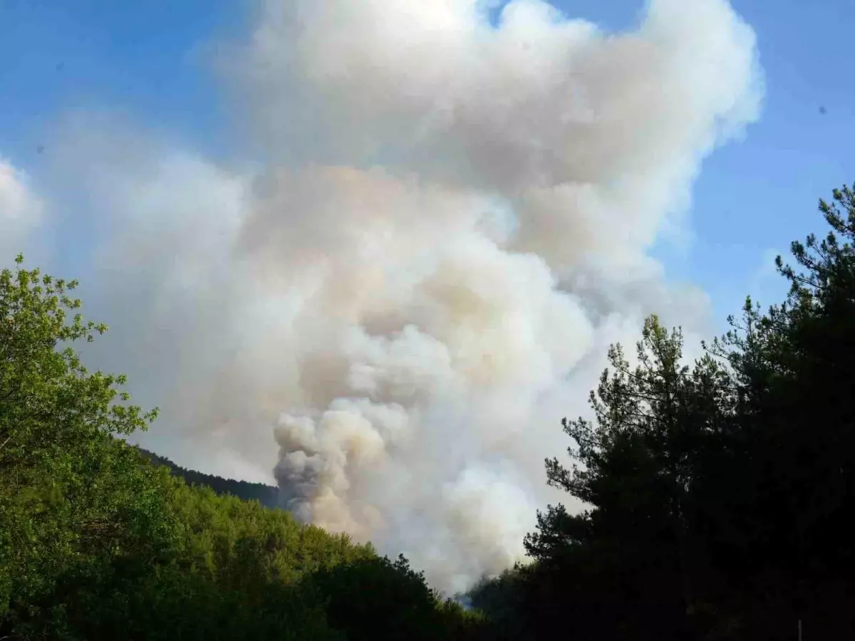 Kastamonu'da Orman Yangını: 6 Köy Tahliye Edildi