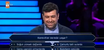 Kerevitler nerede yaşar?