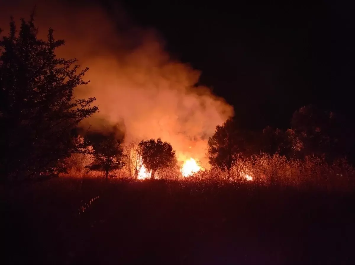 Kuşadası'nda Park Halindeki Araçta Yangın Çıktı