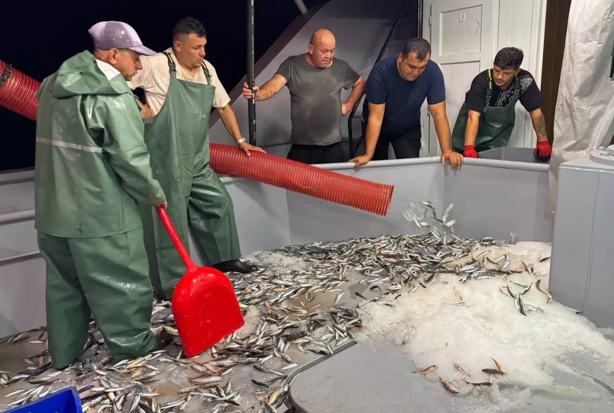 Balıkçılar Av Yasaklarının Sona Ermesiyle Denize Açıldı