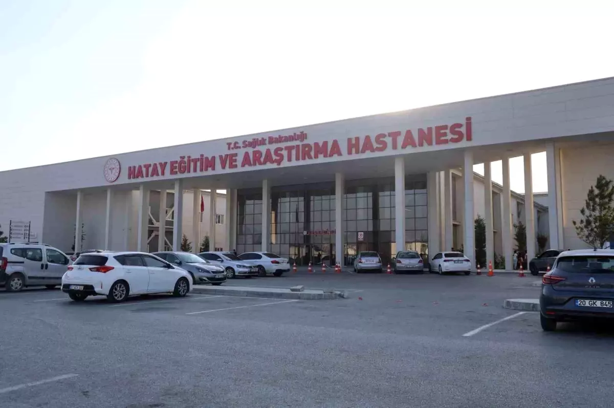 Hatay'da Psikolojik Kriz Geçiren Şahıs, Ailesini Darp Etti ve Araçlara Çarptı