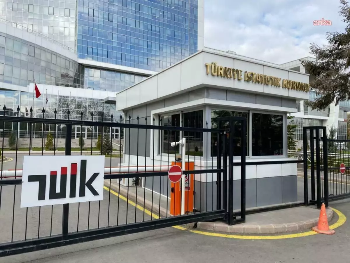 TÜİK'ten 2024 Yılı GSYH Verileri: %3,3 Artış
