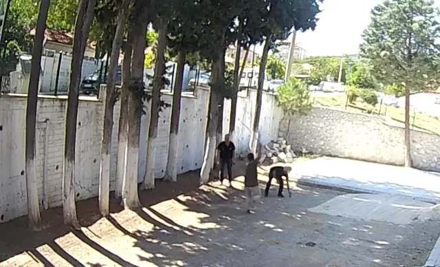 zabitayi sopayla doven dayakci baskanin dosya 3 19002021 o