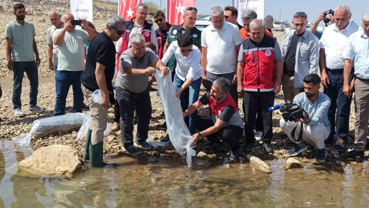 Adıyaman'da Su Kaynaklarına Balıklandırma Çalışmaları Devam Ediyor