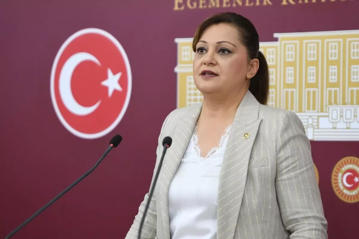 Burcu Köksal'ın yargılandığı 'böcek' davası hakkında karar verildi