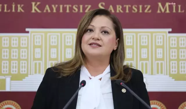 burcu koksal in yargilandigi bocek davasi 19005792 2090 m