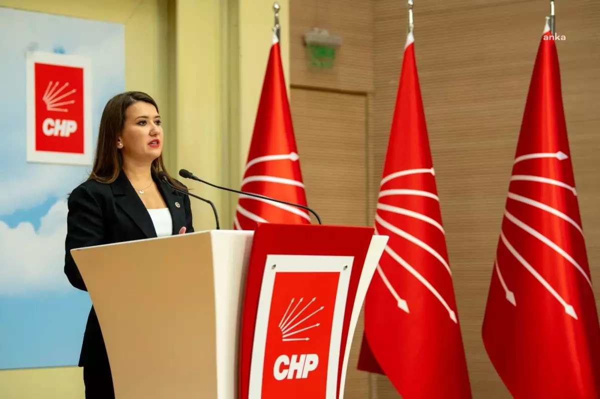CHP Genel Başkan Yardımcısı Gökçe Gökçen, İstanbul İl Başkanlığı'nın Görevden Uzaklaştırılmasına Tepki Gösterdi