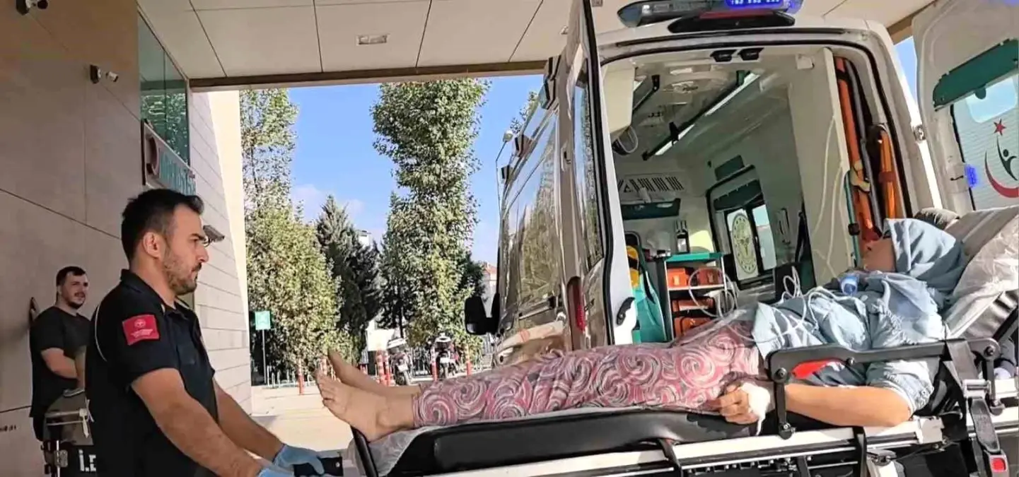 Bursa'da Küçükbaş Hayvan Çiftliğinde Yangın: 1 Kişi Hastaneye Kaldırıldı