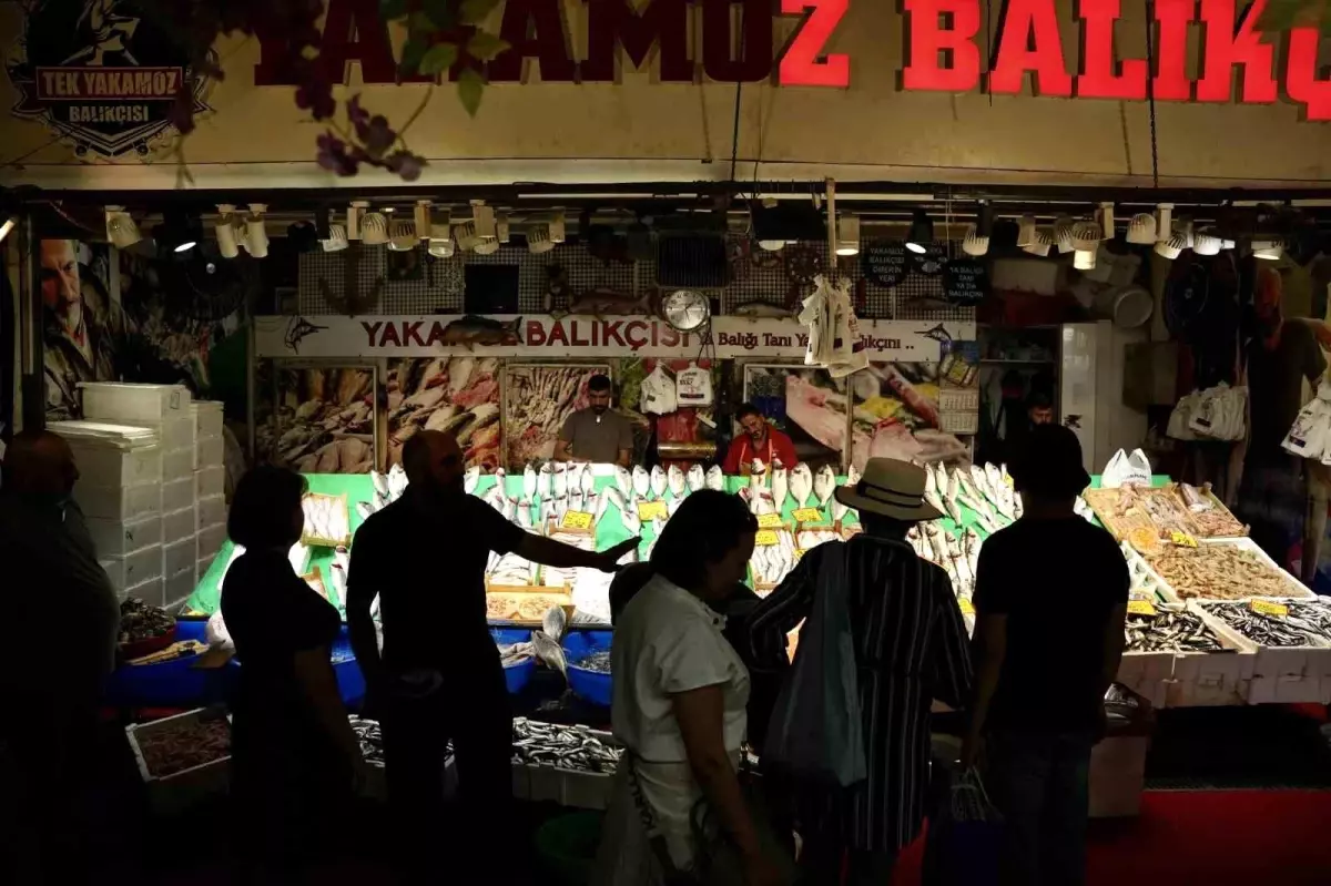 İstanbul'da Balık Sezonu Açıldı: Hamsi ve İstavrit Bolluğu
