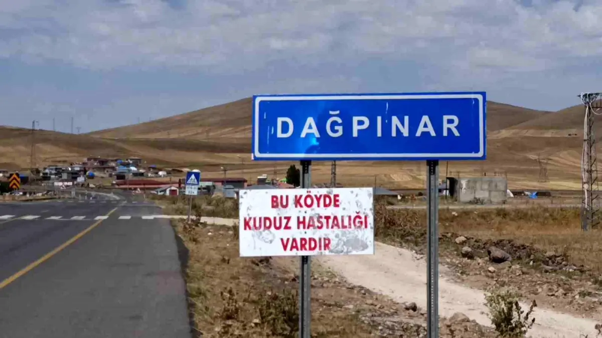Kars'ta Kuduz Vakası: Dağpınar Beldesi Karantinaya Alındı