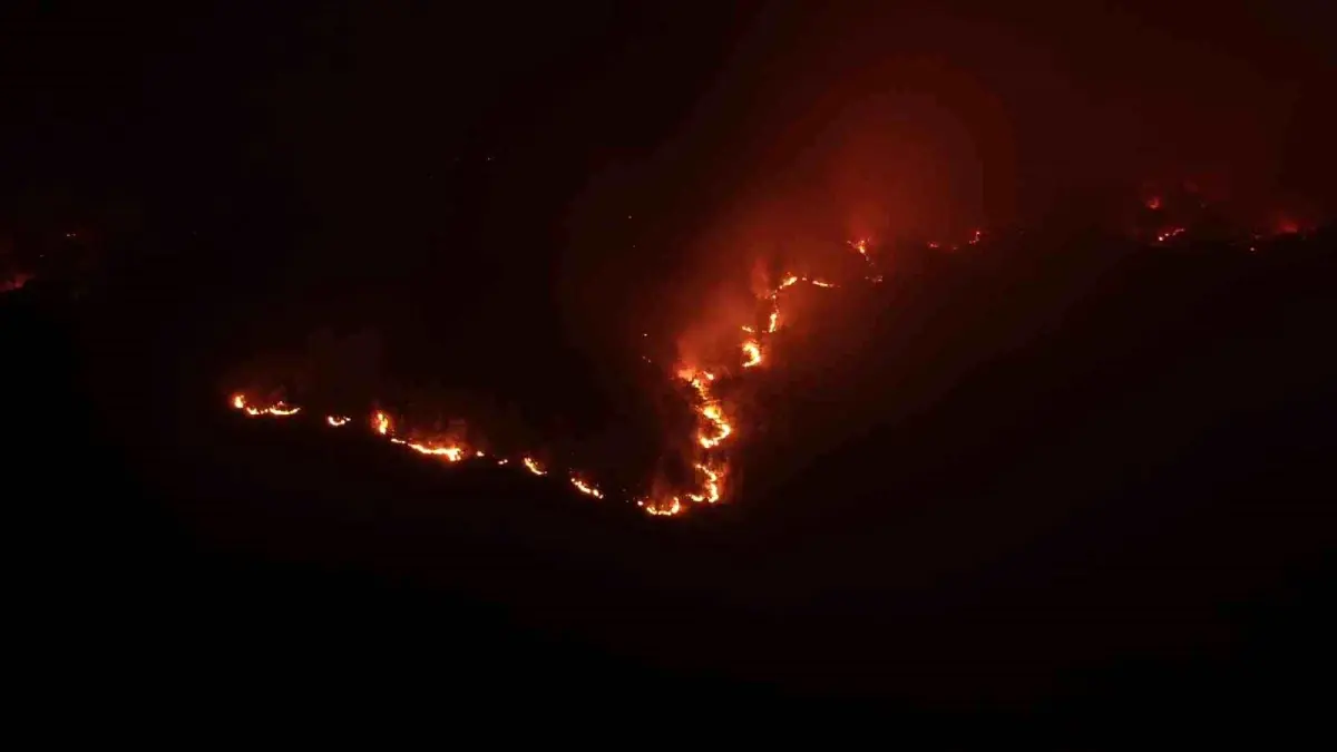 Kastamonu'da Orman Yangını: 9 Köy Tahliye Edildi