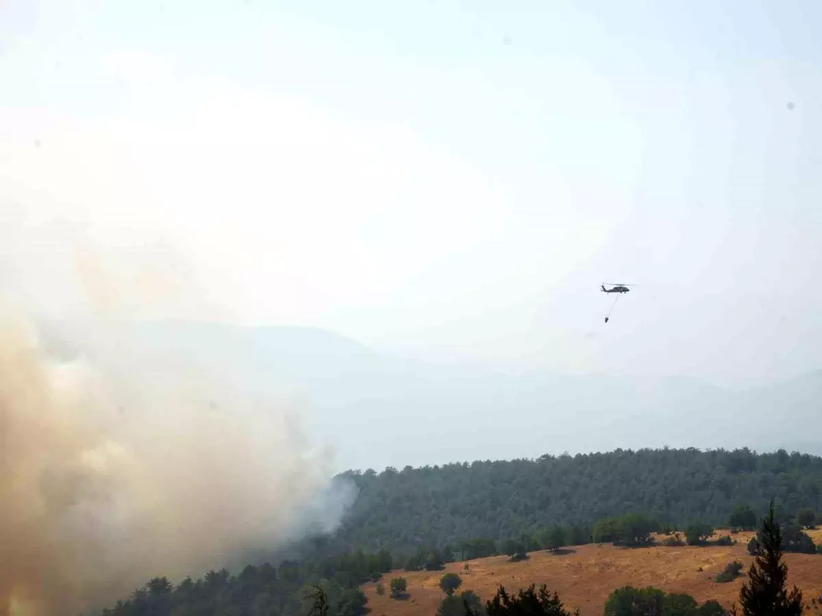 Kastamonu'da Orman Yangınlarına Havadan ve Karadan Müdahale