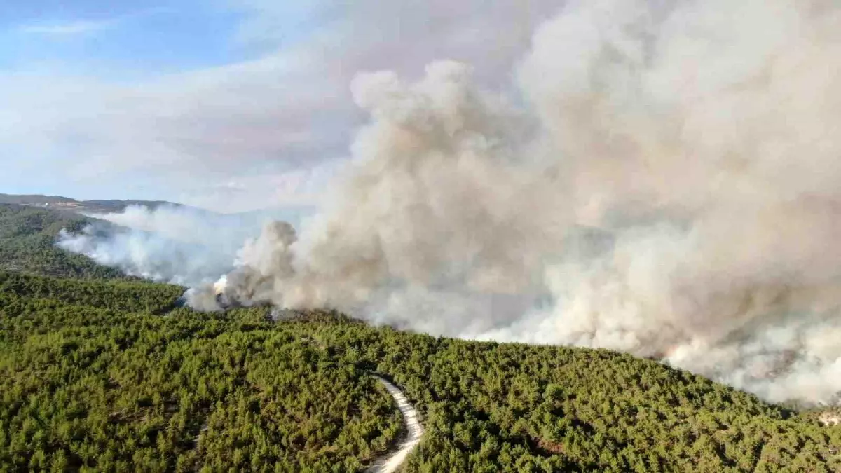 Kastamonu'da İki Orman Yangını Devam Ediyor