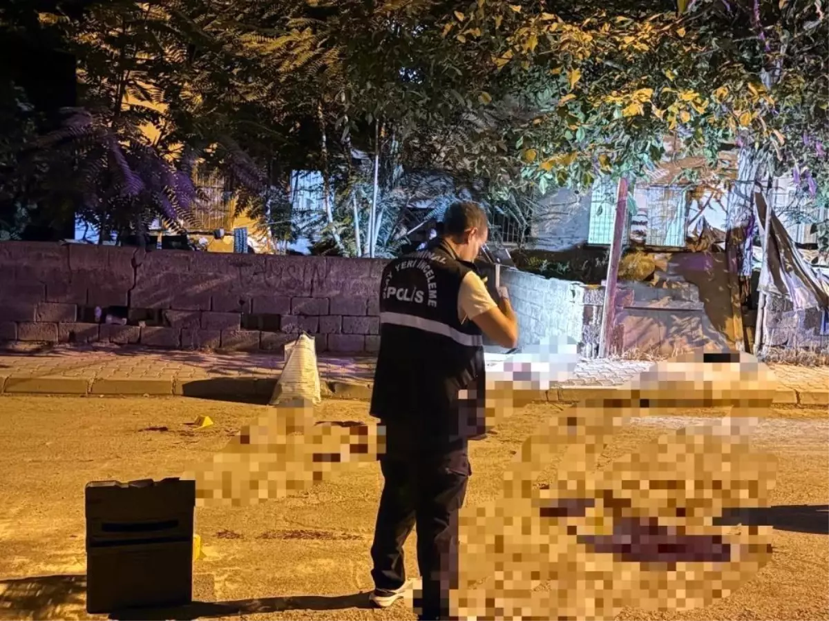 Kayseri'de Bıçaklı Saldırılar: 3 Cinayet İşlendi