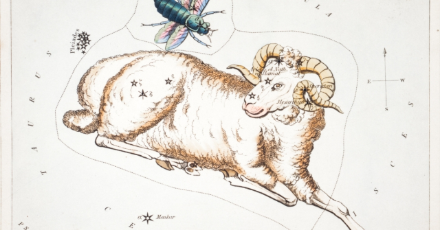 Koç burcunun en başarılı olduğu meslekler nelerdir? Koç burcu olanlar hangi mesleği seçmeli? Koç burcunun en başarılı olduğu meslekler nelerdir? Koç burcu olanlar hangi mesleği seçmeli?