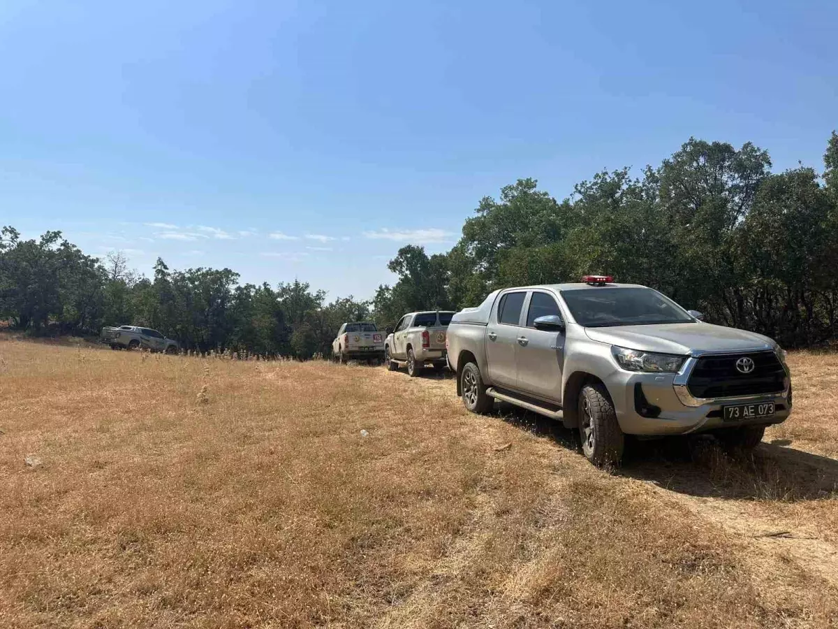 Şırnak'ta Orman Yangını: Havadan ve Karadan Mücadele Devam Ediyor