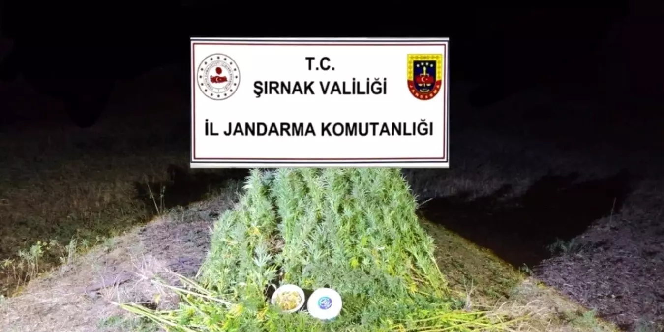 Şırnak'ta Kaçakçılık Operasyonları: 44 Gözaltı ve 22 Milyon Lira Değerinde Kaçak Ürün