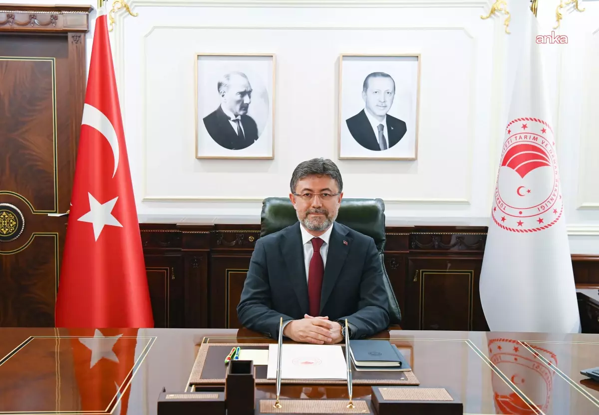 Orman Yangınlarına İlişkin Son Durum Açıklandı