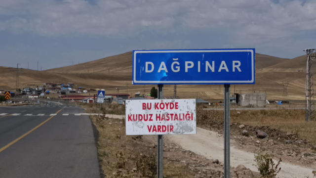 tilki ile kopek bogustu bir belde karantinaya 19007249 6099 m