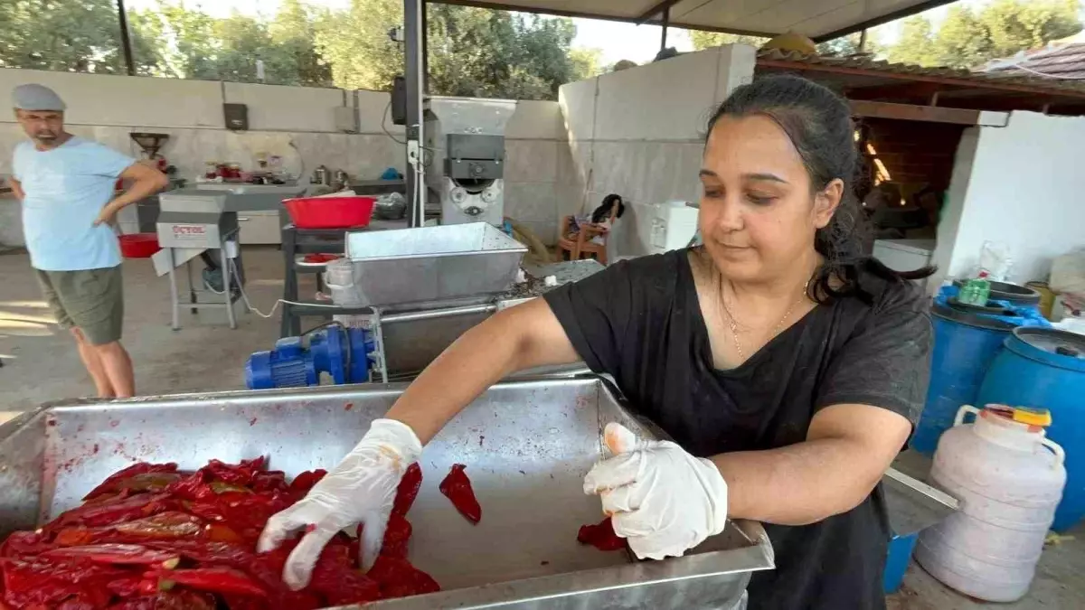 Genç Kadın Girişimci, İşsizlik Sorununu Değirmen Dükkanıyla Aştı