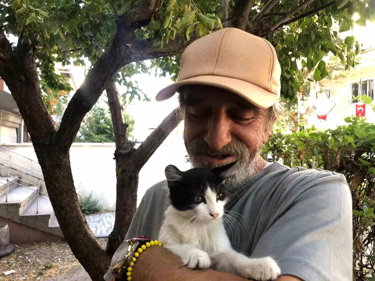 Esnaf Salih Pektaş, 30 Yıldır Sokak Kedilerine Bakıyor