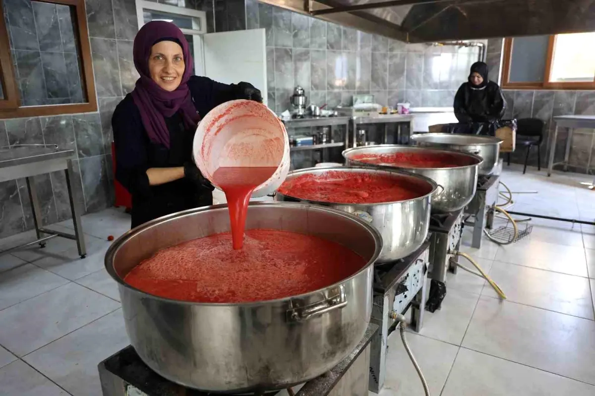 Hatay'da Afetzede Kadınlar Domates Salçası Üretiyor