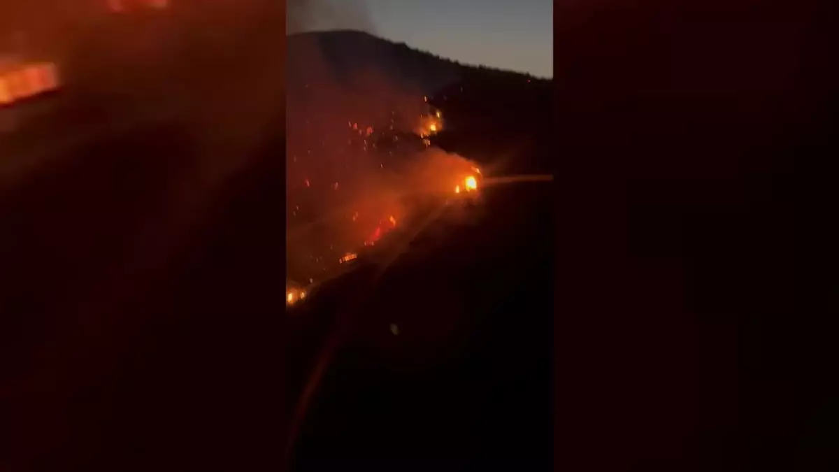 Söke'de Orman Yangını: Ekipler Havan ve Karadan Mücadele Ediyor