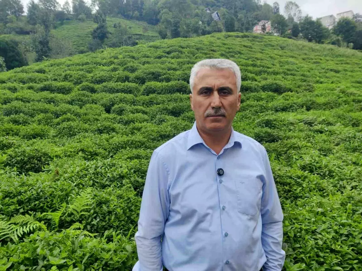Çay Üreticilerinden Üçüncü Sürgün Uyarısı