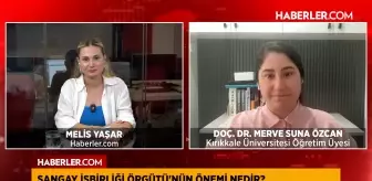 Doç. Dr. Merve Suna Özcan: Türkiye, Avrasya'daki etkinliğini artırıyor