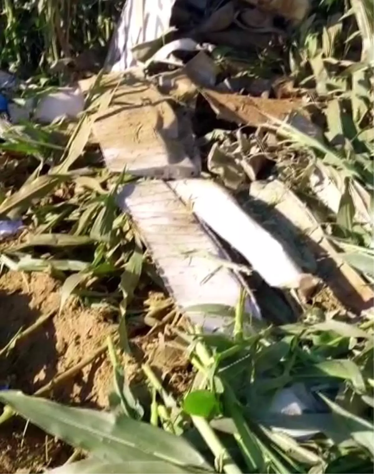 Eğitim amaçlı havalanan bir helikopter, İzmir'in Torbalı ilçesine bağlı Kırbaş Mahallesi'nde mısır tarlasına düştü. Olayda 1 pilot hayatını kaybetti.