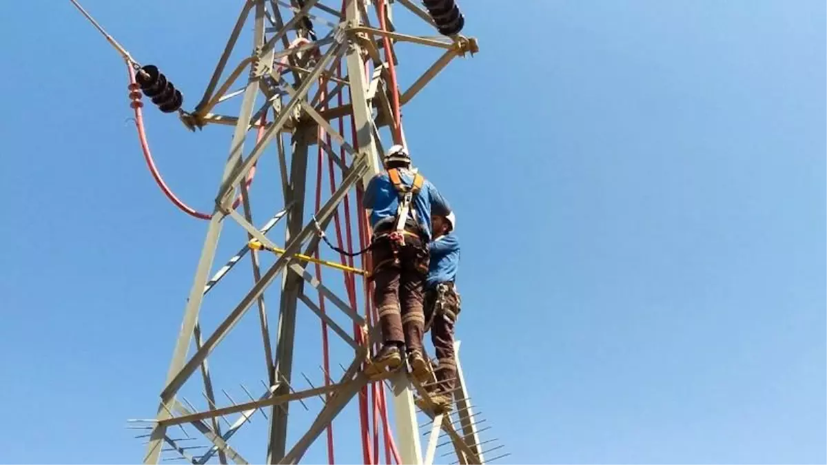 Fırat EDAŞ'tan Leyleklerin Göç Yoluna Duyarlı Enerji Çalışmaları