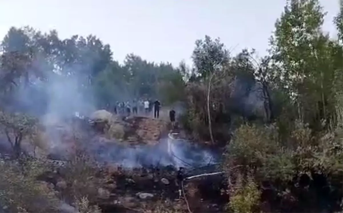 Hakkari'de Orman Yangını Kontrol Altına Alındı