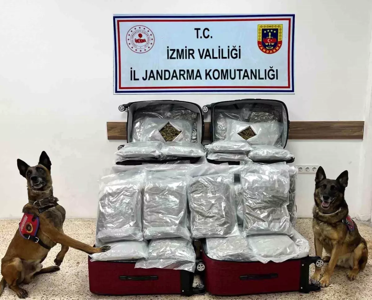İzmir'de Jandarmadan Uyuşturucu Operasyonu: 180 Kilogram Esrar Ele Ge geçirildi