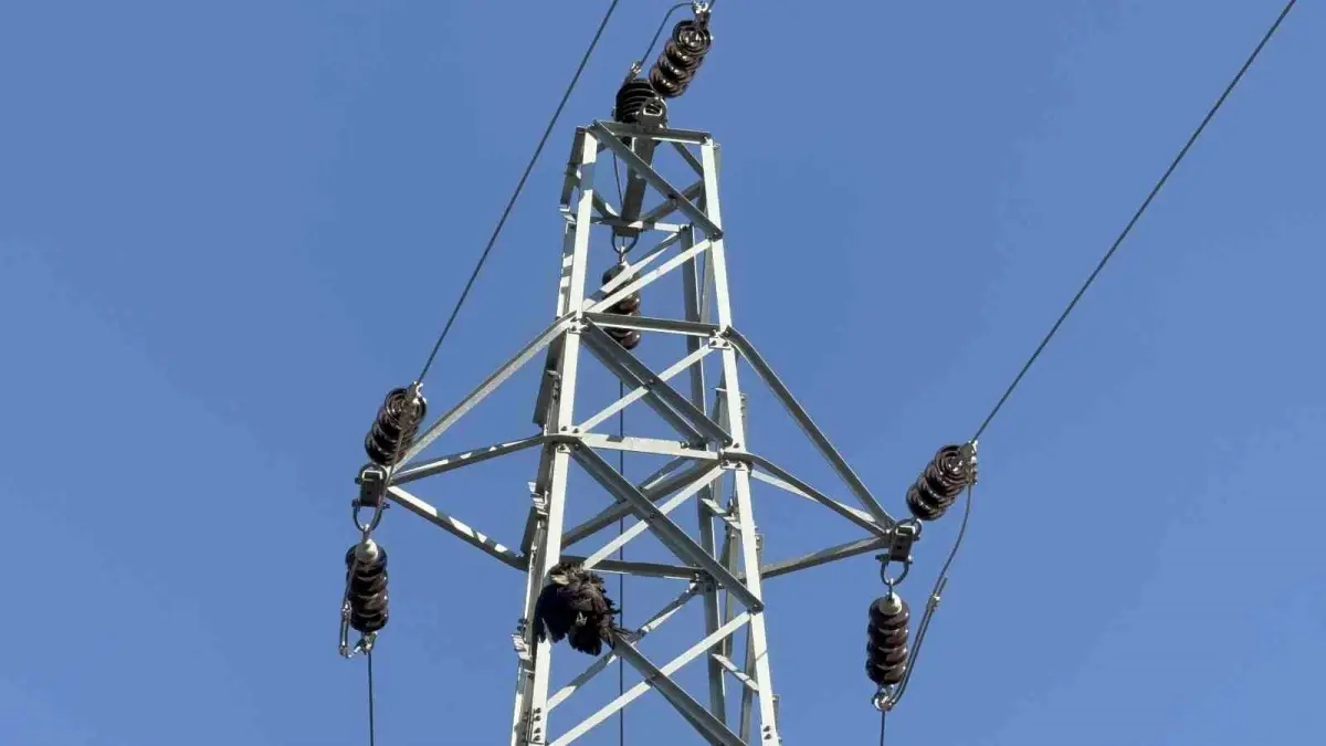 Karabük'te Karganın Temasıyla Çıkan Orman Yangını Kontrol Altına Alındı