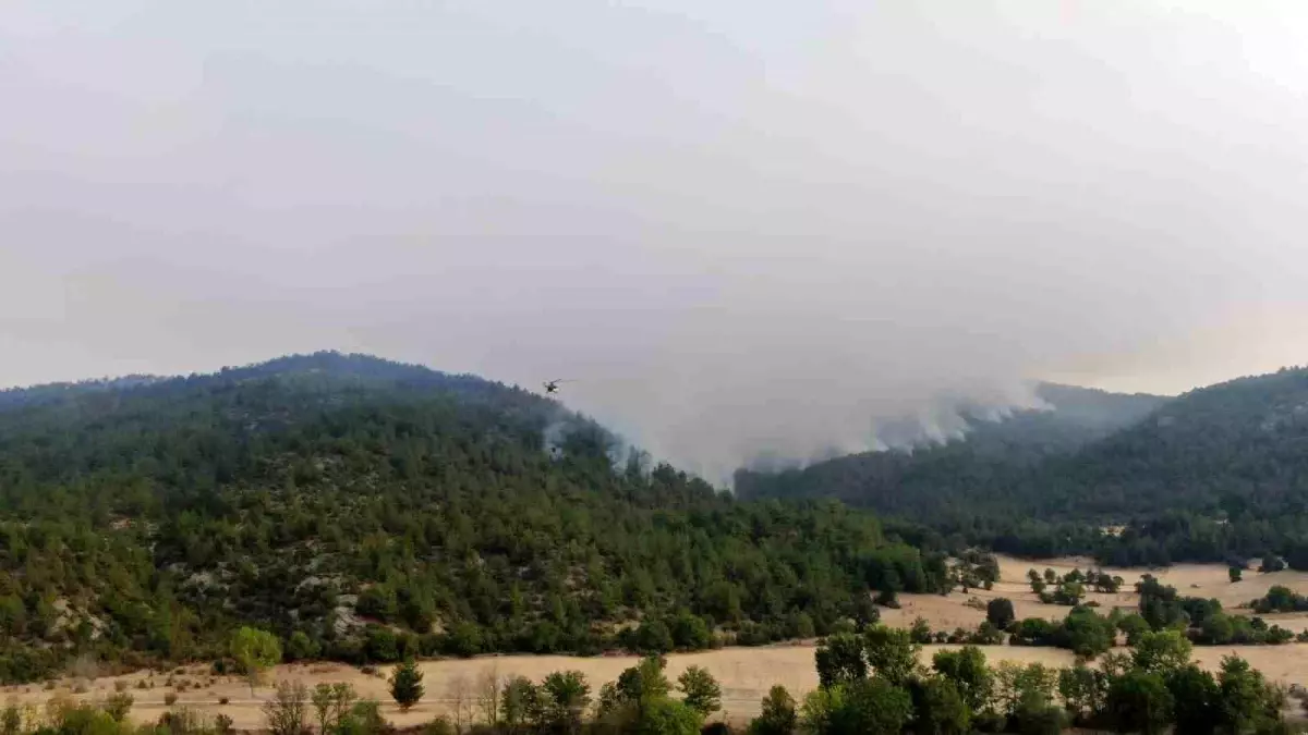 Kastamonu'daki Orman Yangınları Üçüncü Günde Süreç Devam Ediyor