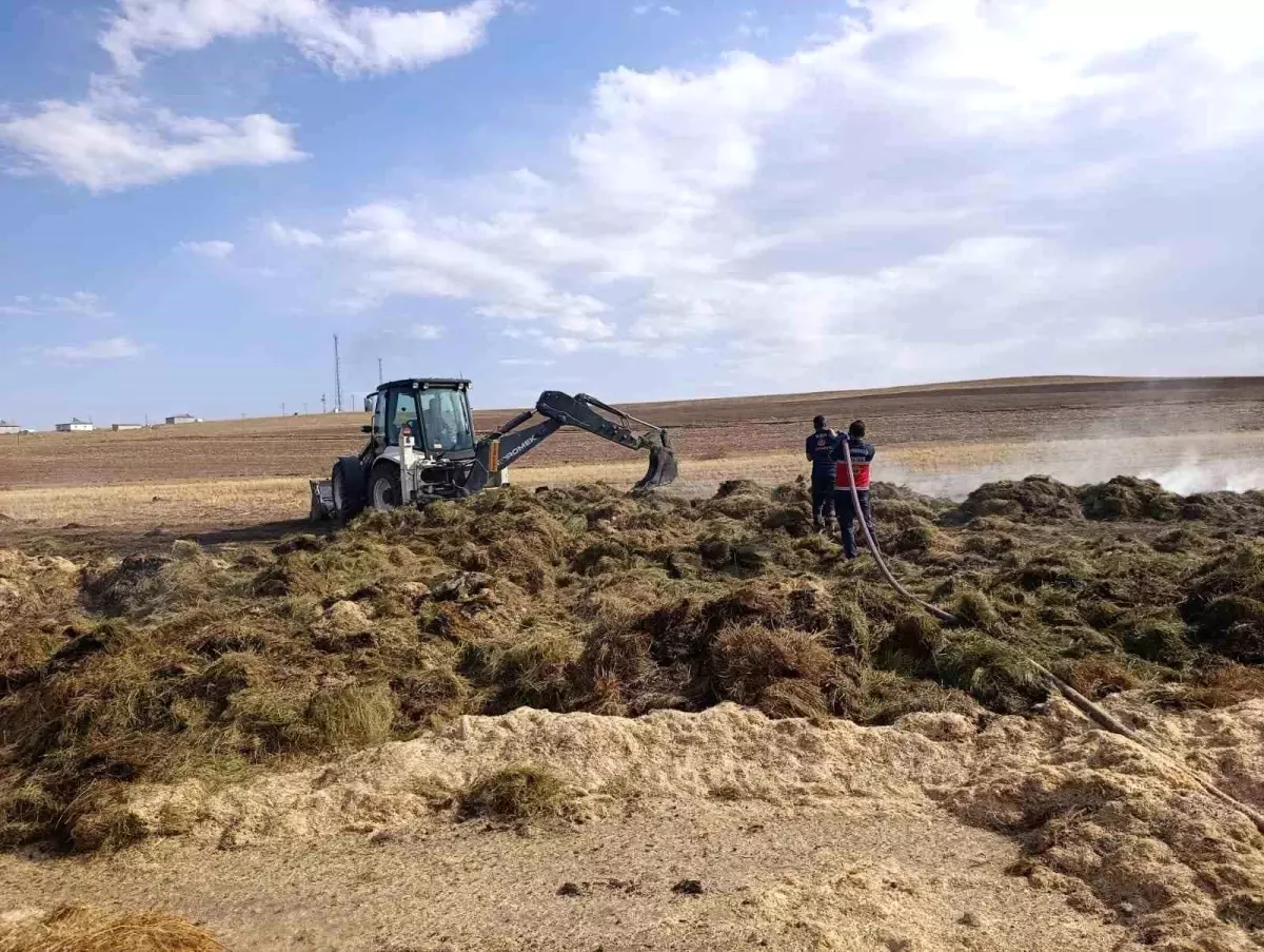 Van'da Yangın: 700 Bağ Ot ve 7 Ton Saman Kül Oldu