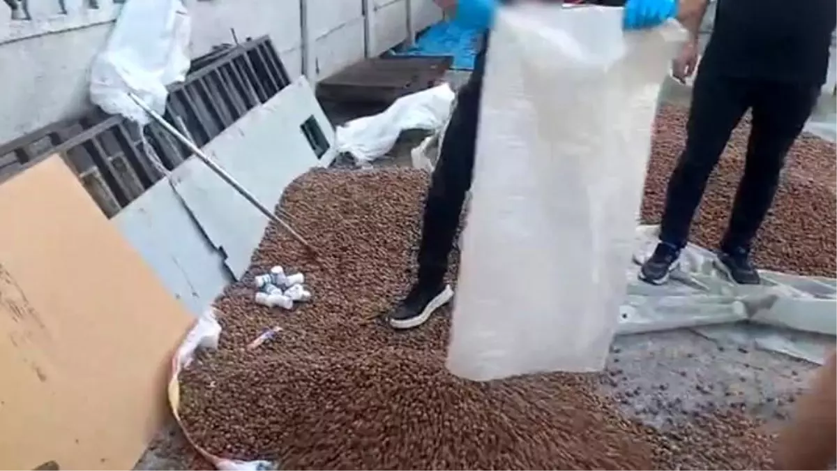 Sakarya'da Jandarma Uyuşturucu Operasyonları: 2 Bin Sentetik Hap Ele Geçirildi